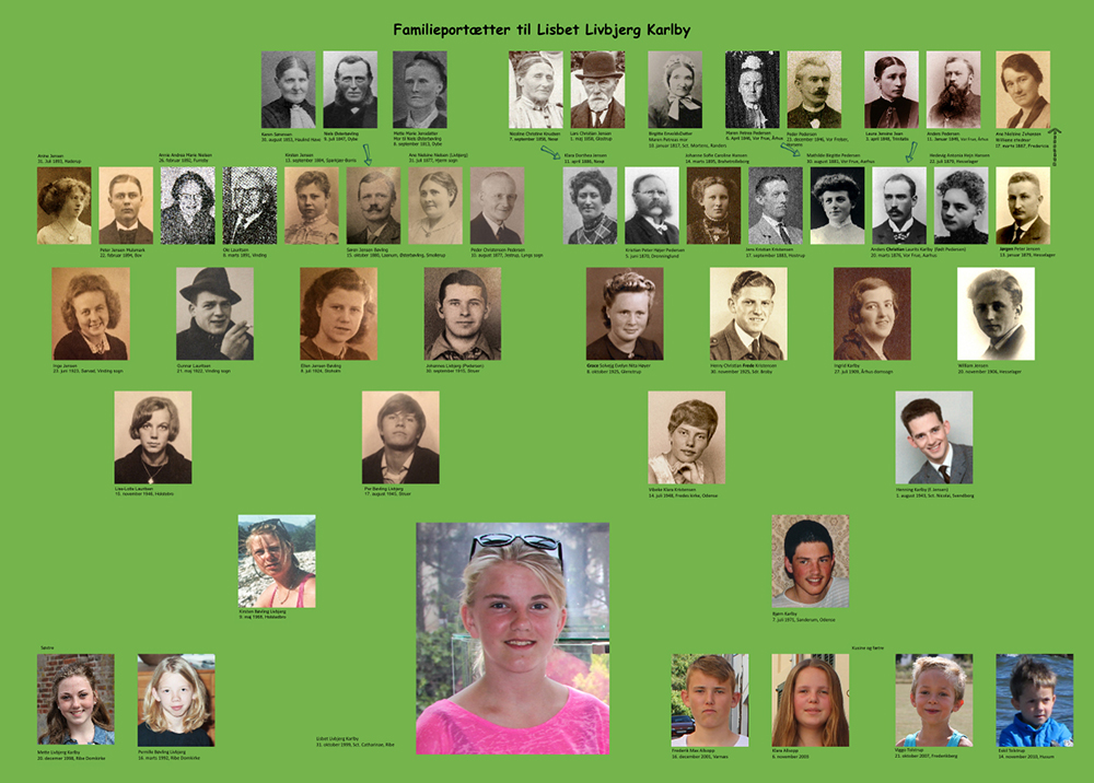 Et stamtræ som billede