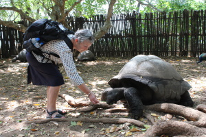 Aldabraskildpadder